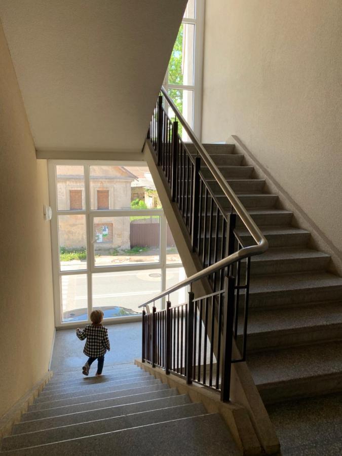 Near Station Apartment فيلنيوس المظهر الخارجي الصورة